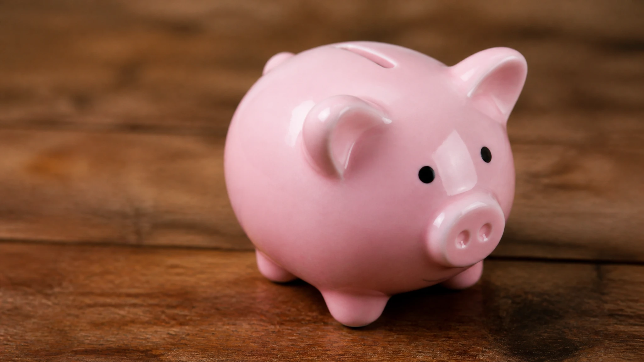 piggy bank for save honeymoon in thailand